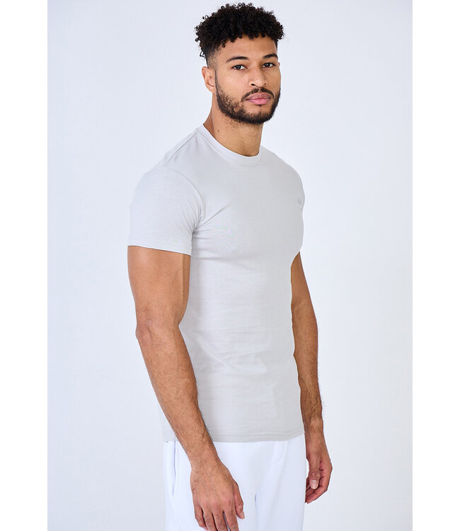 Lichtgrijs Heren Muscle Fit T-shirt