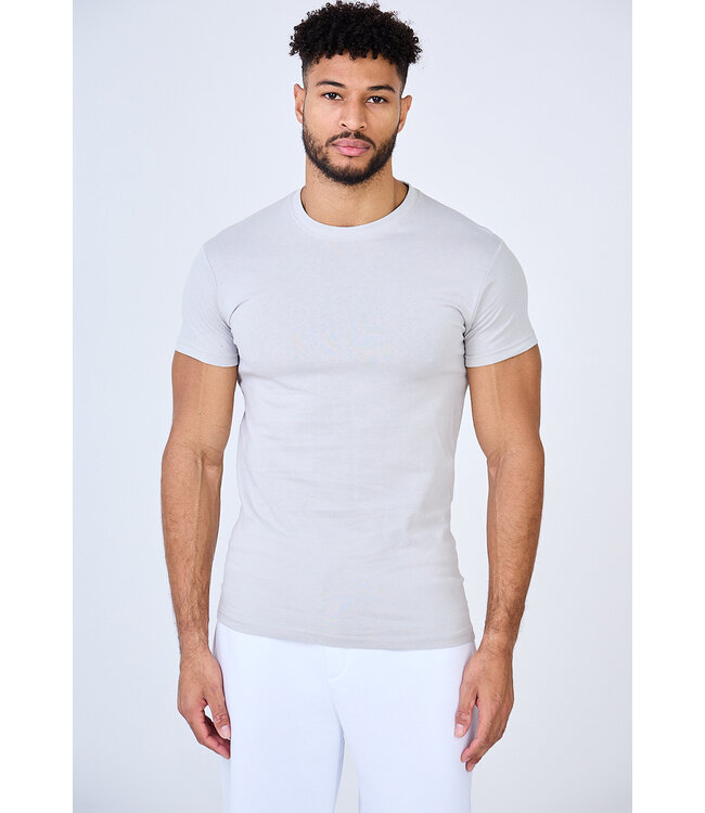 Lichtgrijs Heren Muscle Fit T-shirt