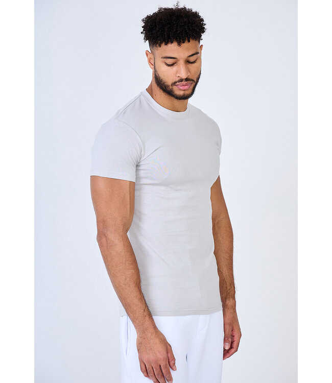 Lichtgrijs Heren Muscle Fit T-shirt