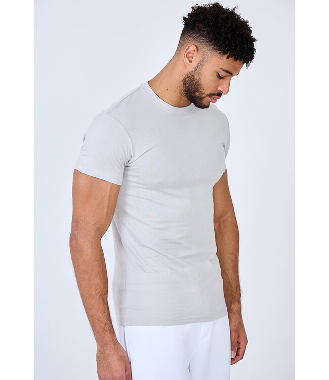 Lichtgrijs Heren Muscle Fit T-shirt