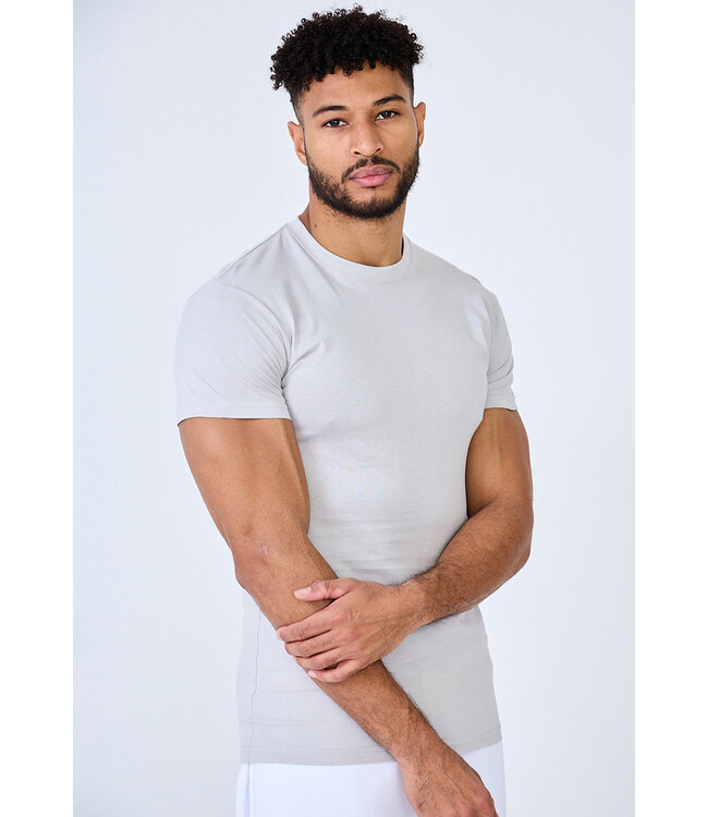Lichtgrijs Heren Muscle Fit T-shirt