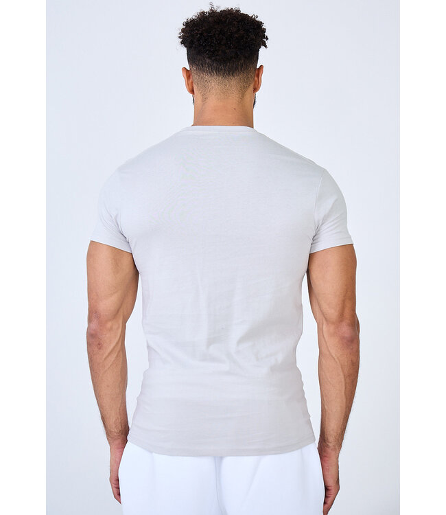 Lichtgrijs Heren Muscle Fit T-shirt