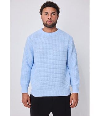 Lichtblauwe Gebreide Herentrui