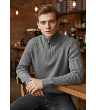 Grijze Half-Zip Herentrui