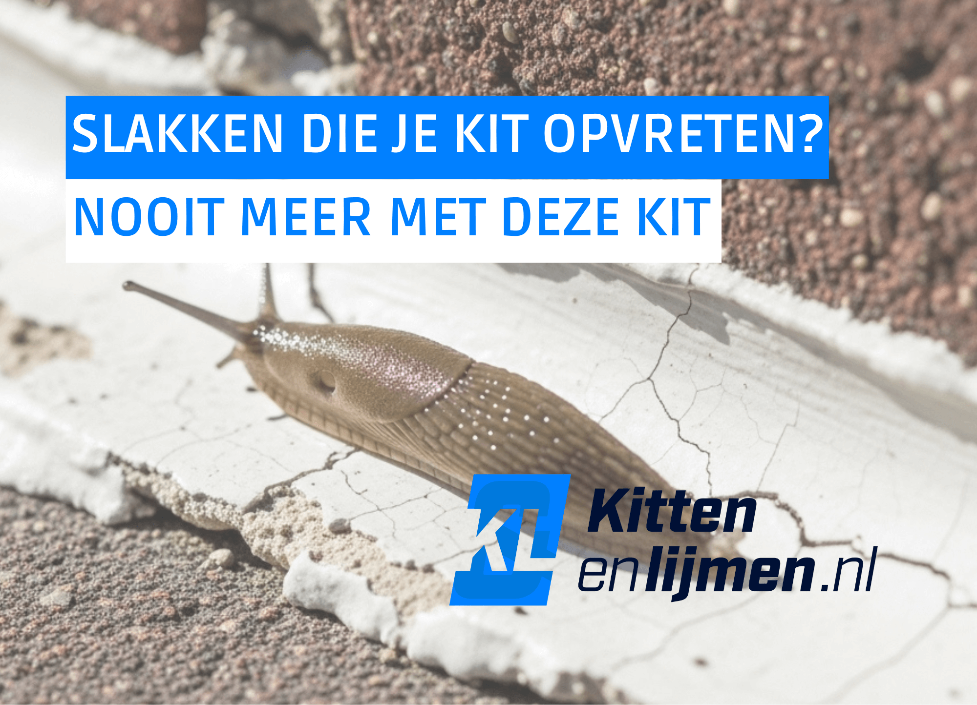 Slakken die je kit opvreten? NOOIT MEER met deze kit!