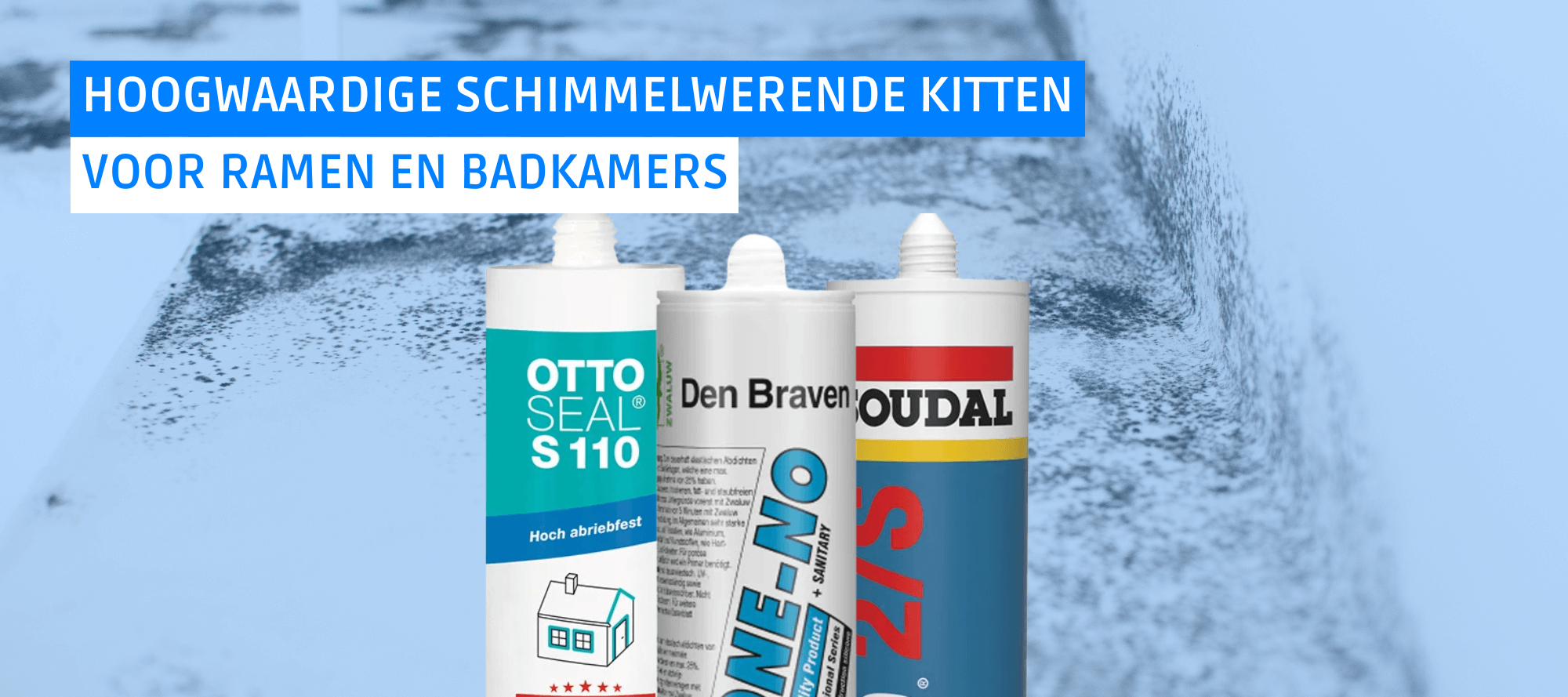 Schimmelwerende kitten