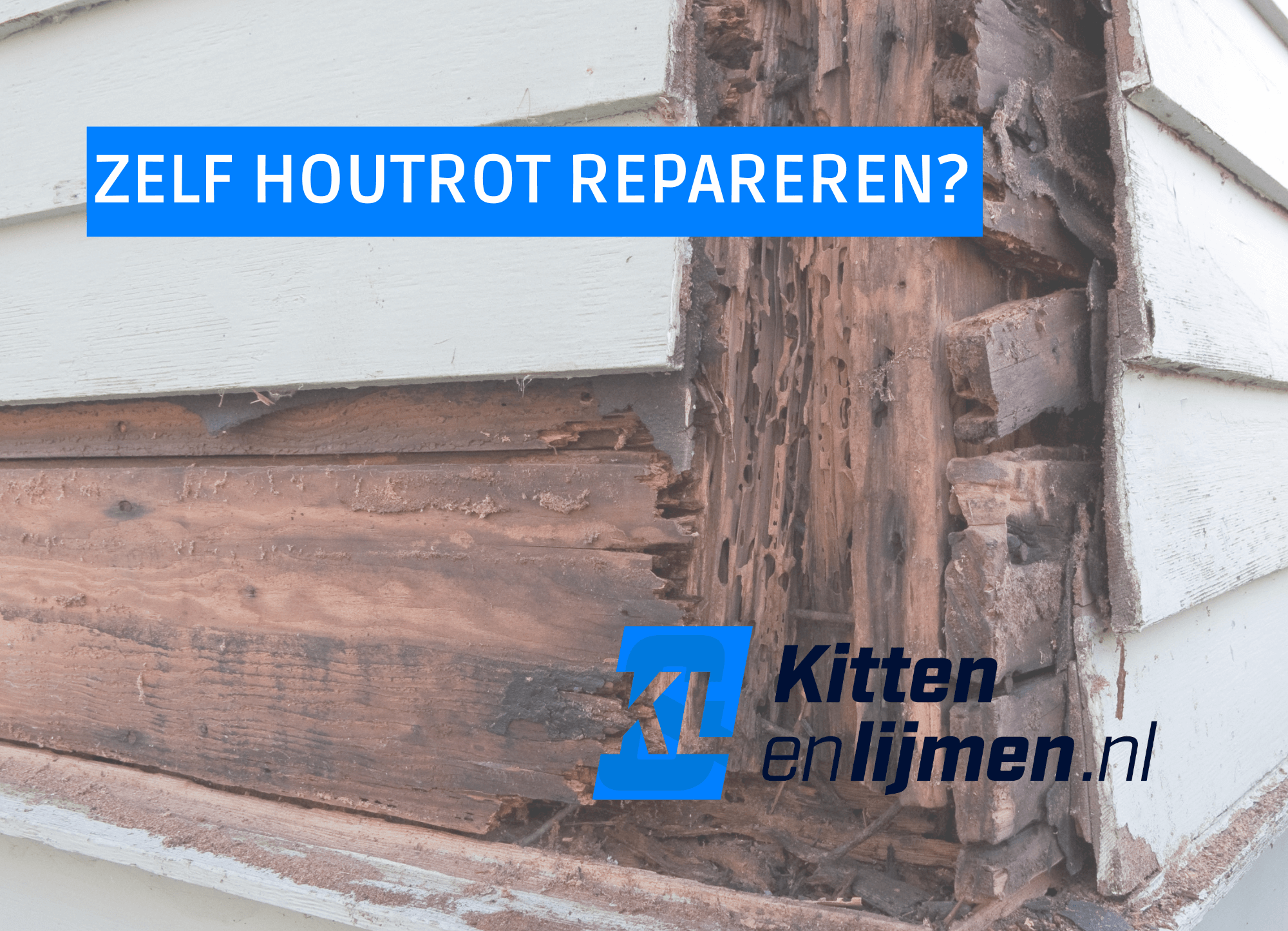 Zelf houtrot repareren? Zo pak je het aan!