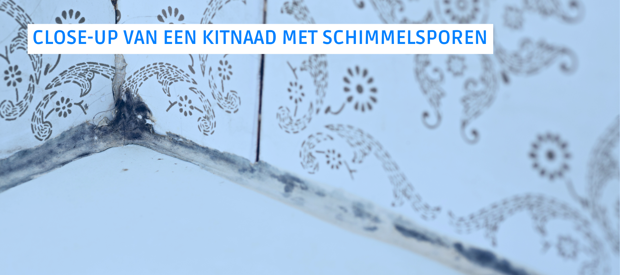 Schimmel op een oude, losgelaten kitnaad in een badkamer. Illustratie van de gevolgen van te snel douchen.