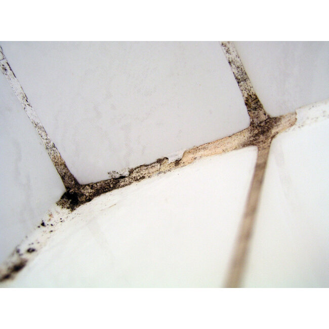 Otto Anti-Schimmel-Spray