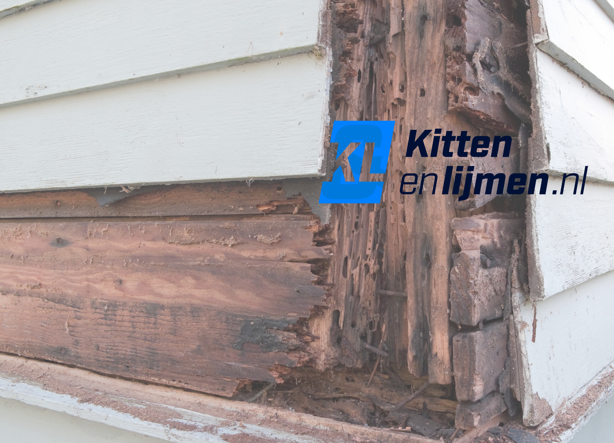 Zelf houtrot repareren? Zo pak je het aan!