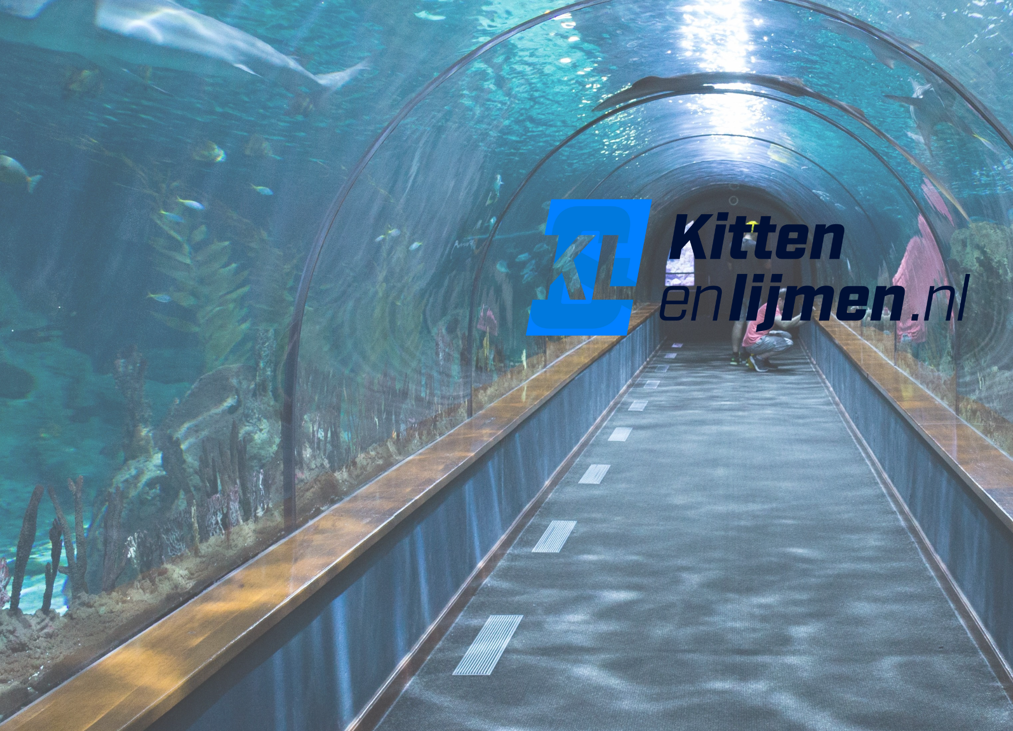 Wat is zuurvrije siliconenkit en wanneer gebruik je het? 