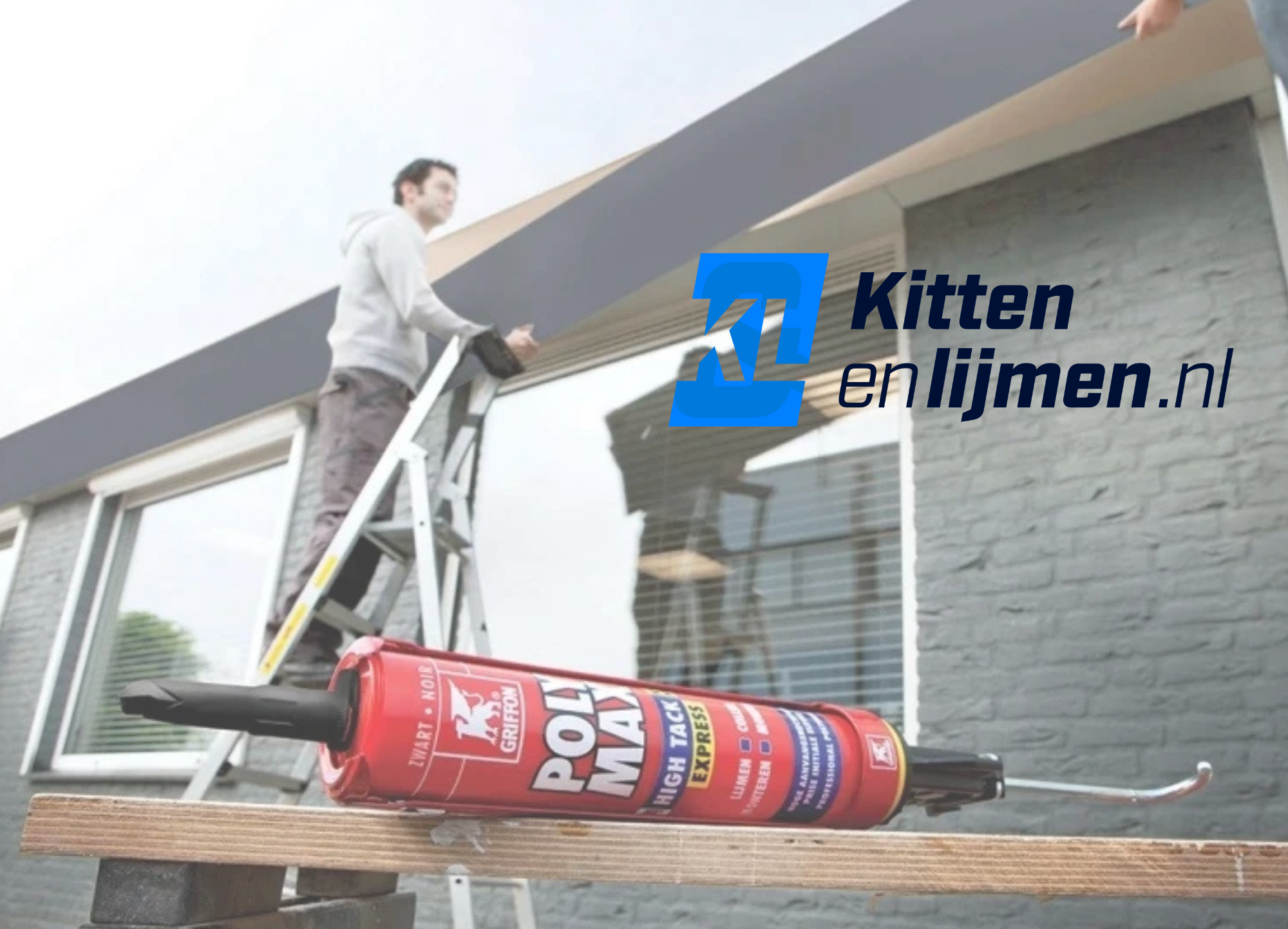 Griffon: van kit tot polymax