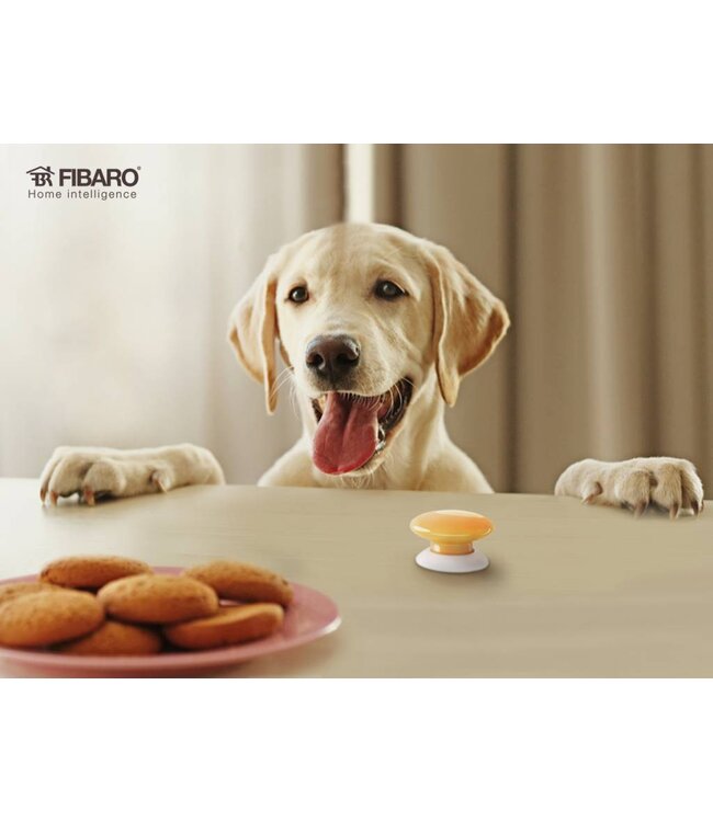 Fibaro Fibaro zwarte drukknop
