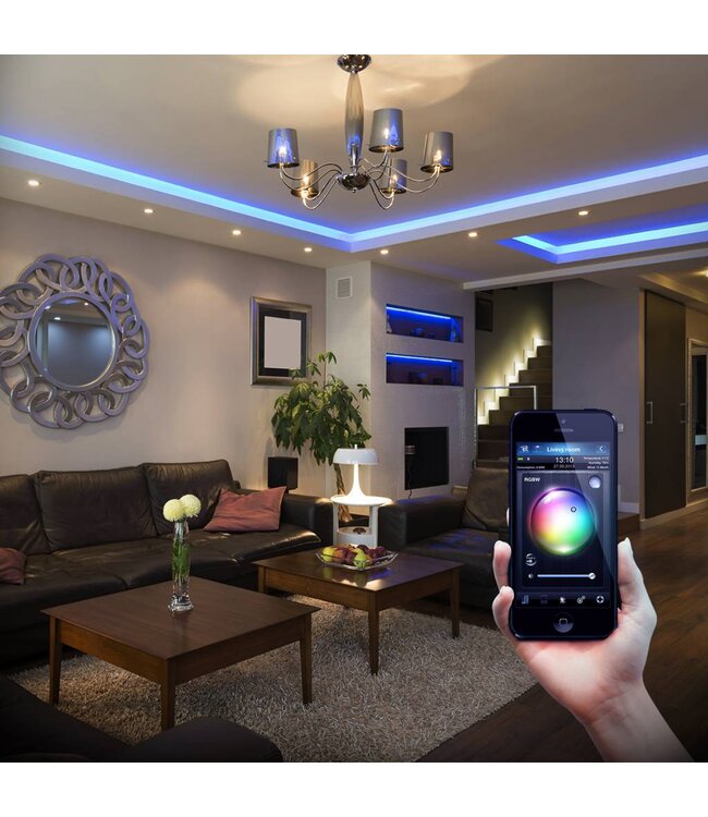 Fibaro Fibaro RGBW controller