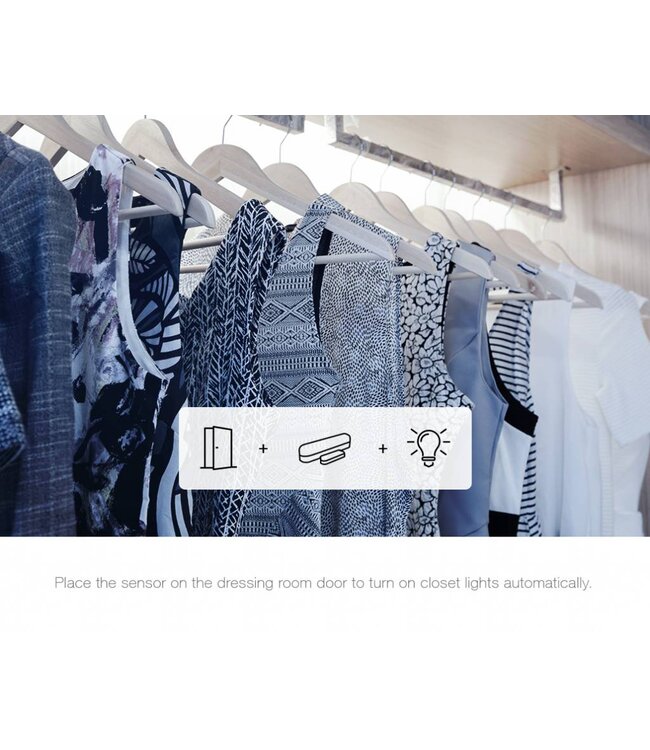 Fibaro Fibaro Deur en raam sensor V2, kleur donker bruin