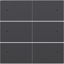 Afwerkingsset, Anthracite, 6-voudige drukknop 24V met LED