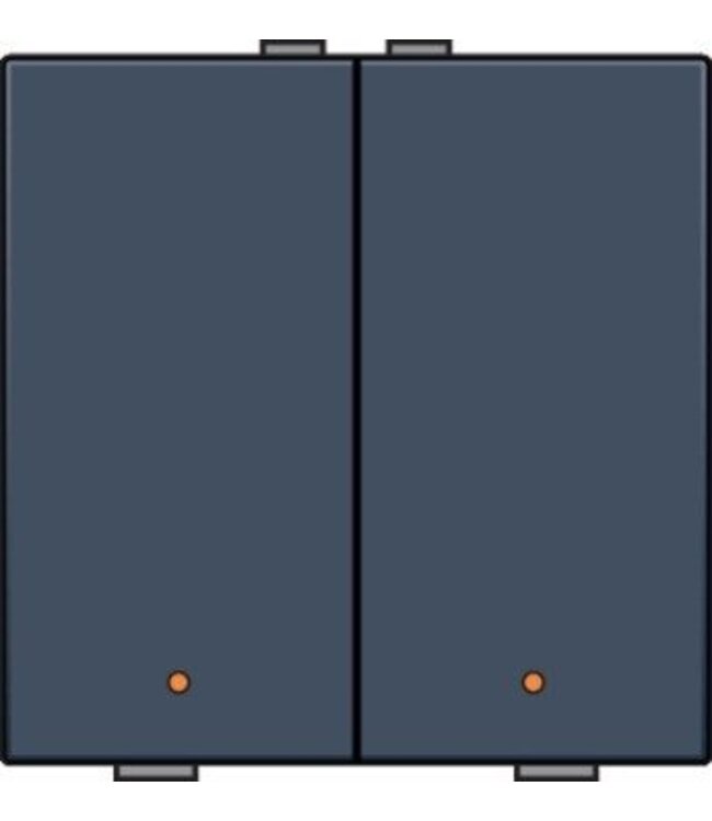 Niko Tweevoudige drukknop met led voor Niko Home Control,Pure Alu Look Grey Steel