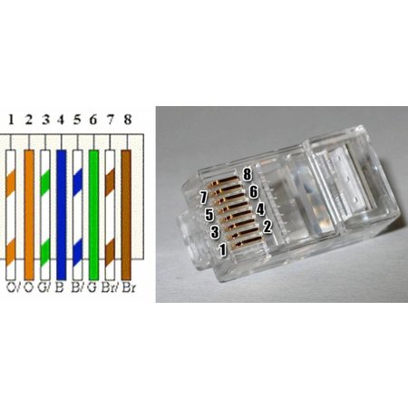 RJ45 UTP connector cat6, zelf aansluiten