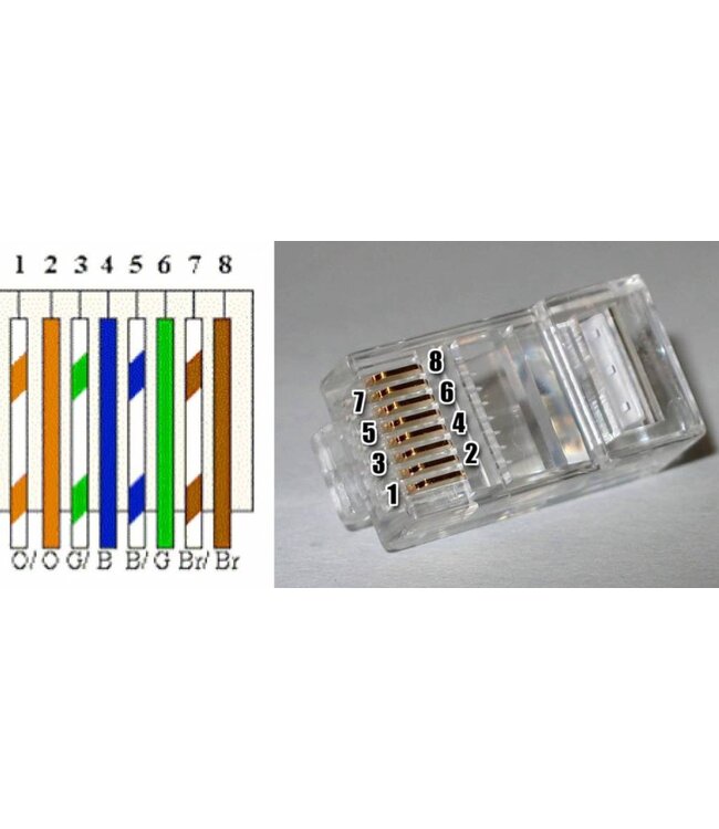 RJ45 UTP connector cat6, zelf aansluiten