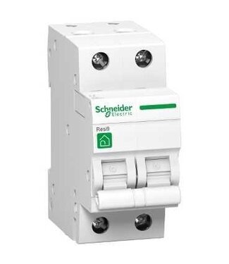 Schneider Automatische zekering 2P - 6A
