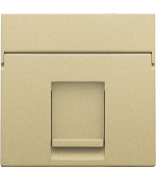 Niko afwerkingsset voor enkelvoudige datacontactdoos Alu look Gold 221-65100