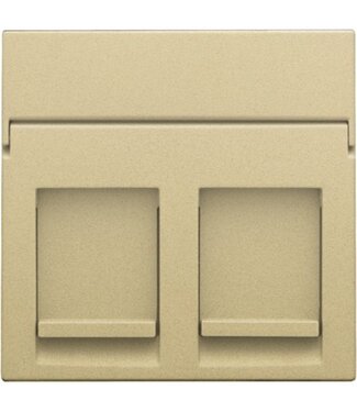 Niko afwerkingsset, Alu look Gold , tweevoudige datacontactdoos, 221-65200