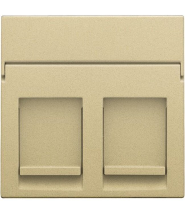 Niko afwerkingsset voor tweevoudige datacontactdoos kleur Alu look Gold / 221-65200
