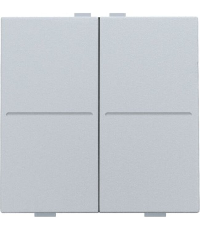 Niko Viervoudige Toets, sterling, voor Draadloze bedieningsknop