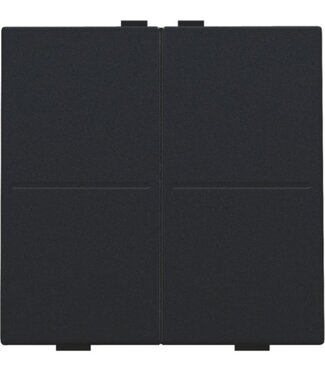Niko Viervoudige Toets, draadloze bediening, black coated