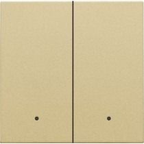 Dubbele afwerkingsset connected switch, gold