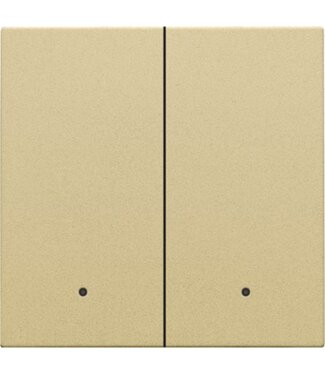 Niko Dubbele afwerkingsset connected switch, gold