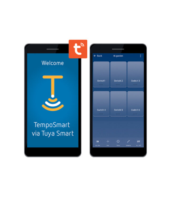 Ontvanger Wi-Fi en RF 433 MHz met 1 draadloze schakelaar - 6 kanalen