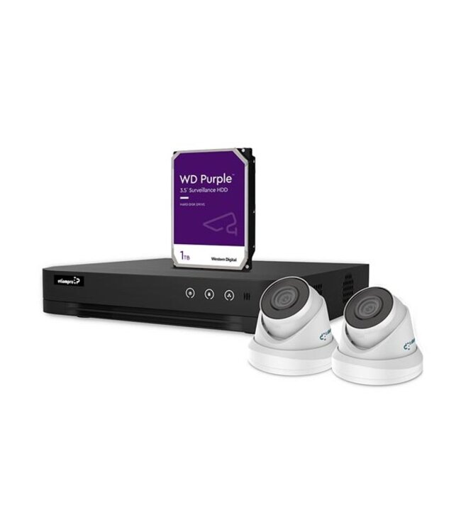 etiampro IP-videobewakingsset met 4 kanaals NVR recorder en 2 IP-Dome camera's