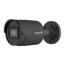 Cylindrische IP camera. 8MP, met varifocale lens