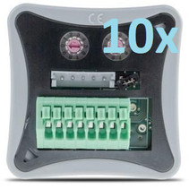 Box met 10 cokies TDS 12134