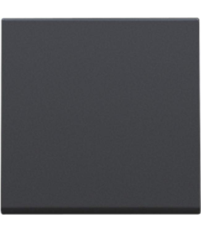 Niko Afwerkingsset voor elektronische schakelaar en drukknopdimmer, ref. xxx-31002