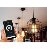 Smart Wifi LEDlamp -Tuya controlled