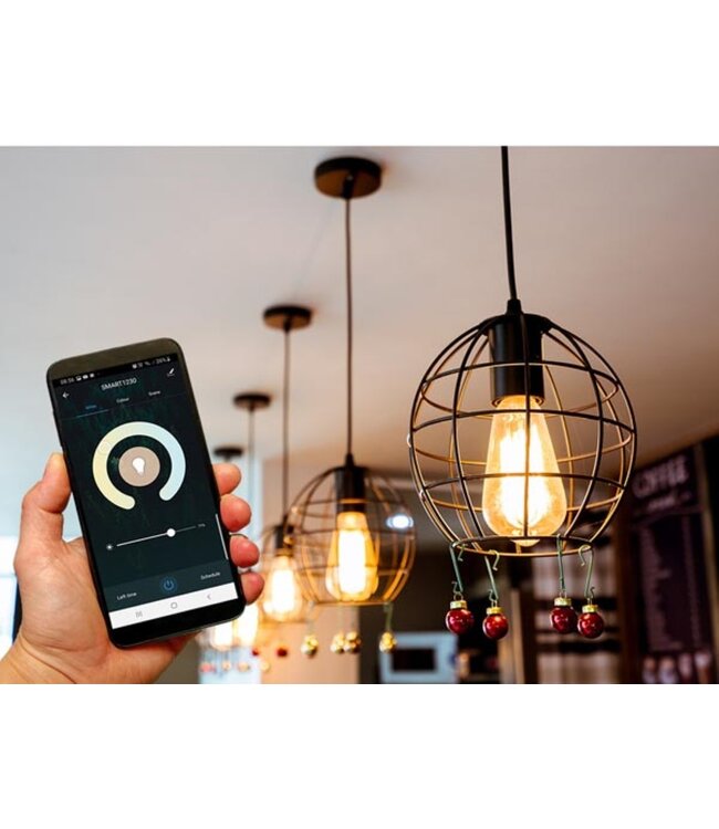 Smart Wifi LEDlamp -Tuya controlled