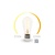 Smart Wifi LEDlamp -Tuya controlled
