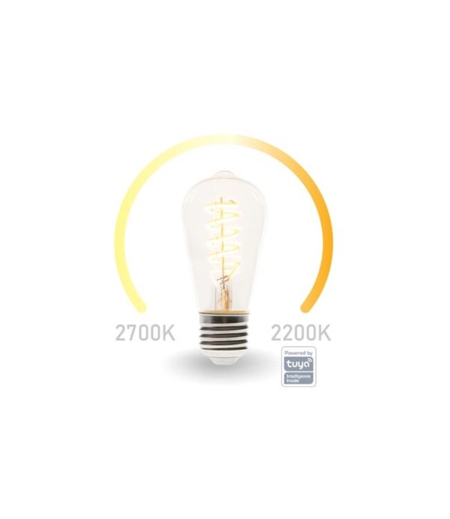 Smart Wifi LEDlamp -Tuya controlled