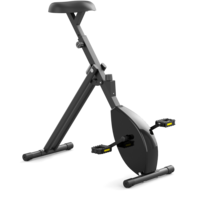 Large deskbike Large