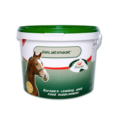 Primeval Gelatinaat Primeval Gelatinaat