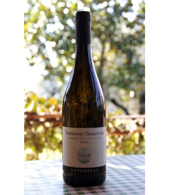 Antonelli San Marco 'Trebium' Trebbiano Spoletino DOC (2024)