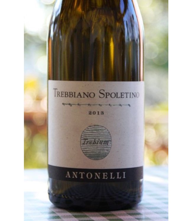 Antonelli San Marco 'Trebium' Trebbiano Spoletino DOC (2024)