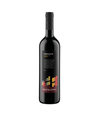 Di Filippo 'Properzio' Sangiovese Riserva DOC (2023) - BIO