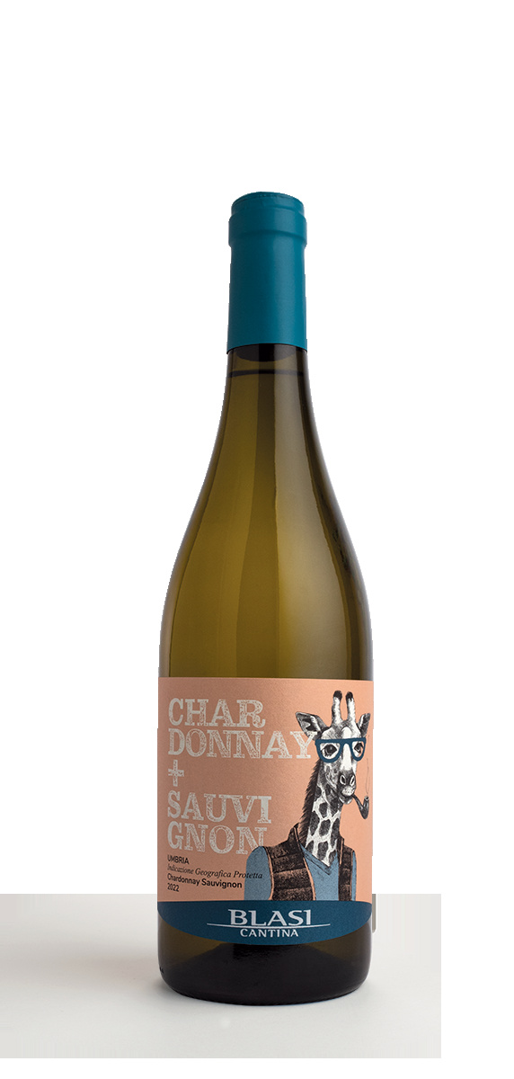 Chardonnay-Sauvignon Umbria IGP - Balsi (2022) - Casa San