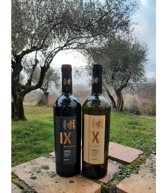 Tenuta Monteleone 'Brandesco' Merlot IGT (2022)