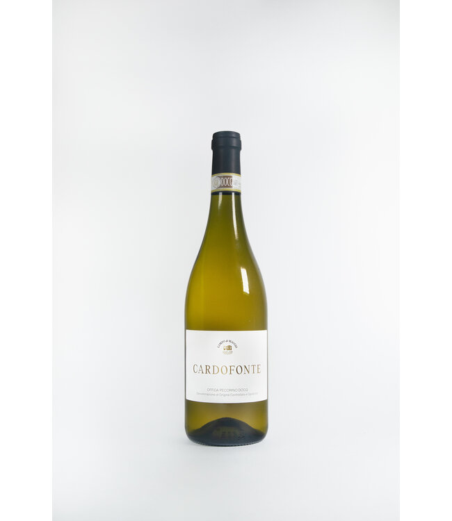 Campo di Maggio 'Cardofonte' Offida Pecorino DOCG (2024)