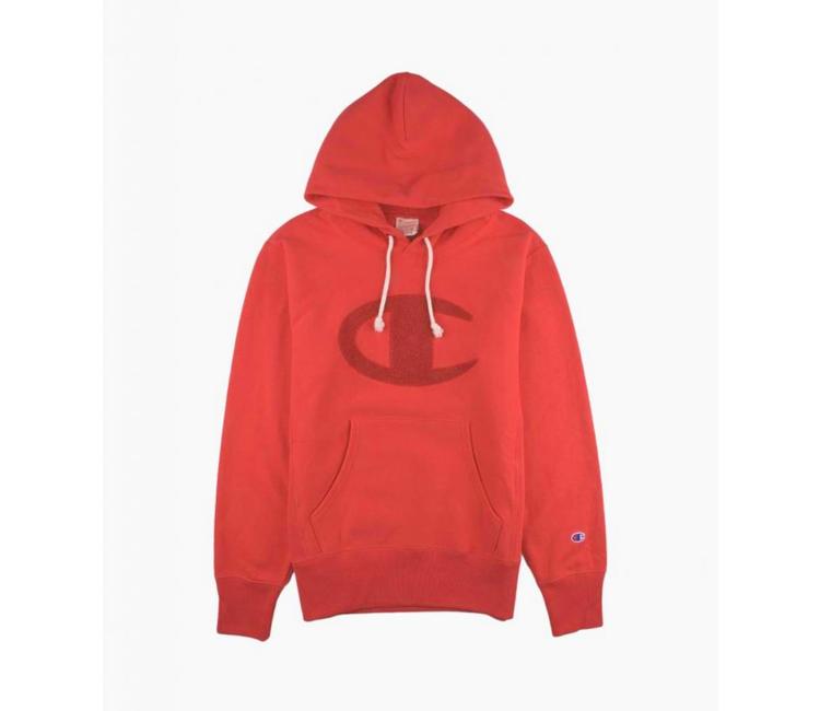 champion teddy hoodie