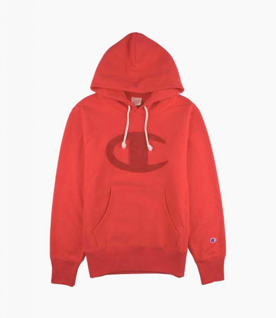 teddy champion hoodie